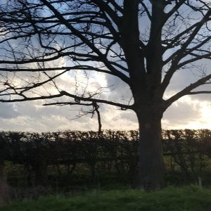 Landscape at Dusk