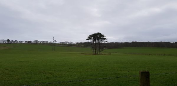 Test Picture - Image 2